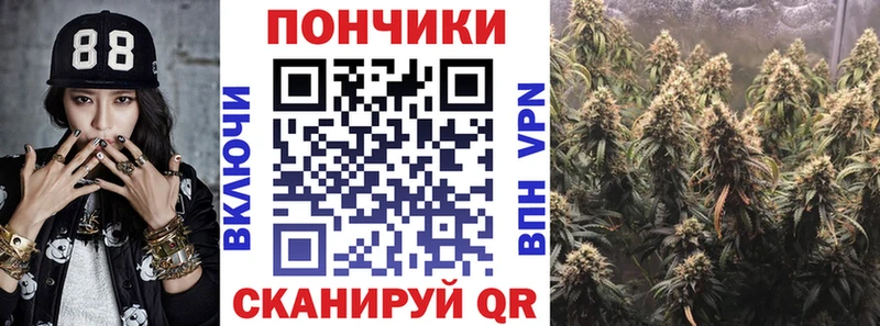 Магазины продажи наркотиков Никольское A-PVP  Меф  Гашиш  Амфетамин  МАРИХУАНА 