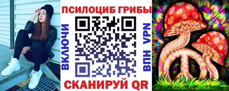 darknet формула Никольское Галлюциногенные грибы Psilocybine cubensis